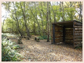 cabane